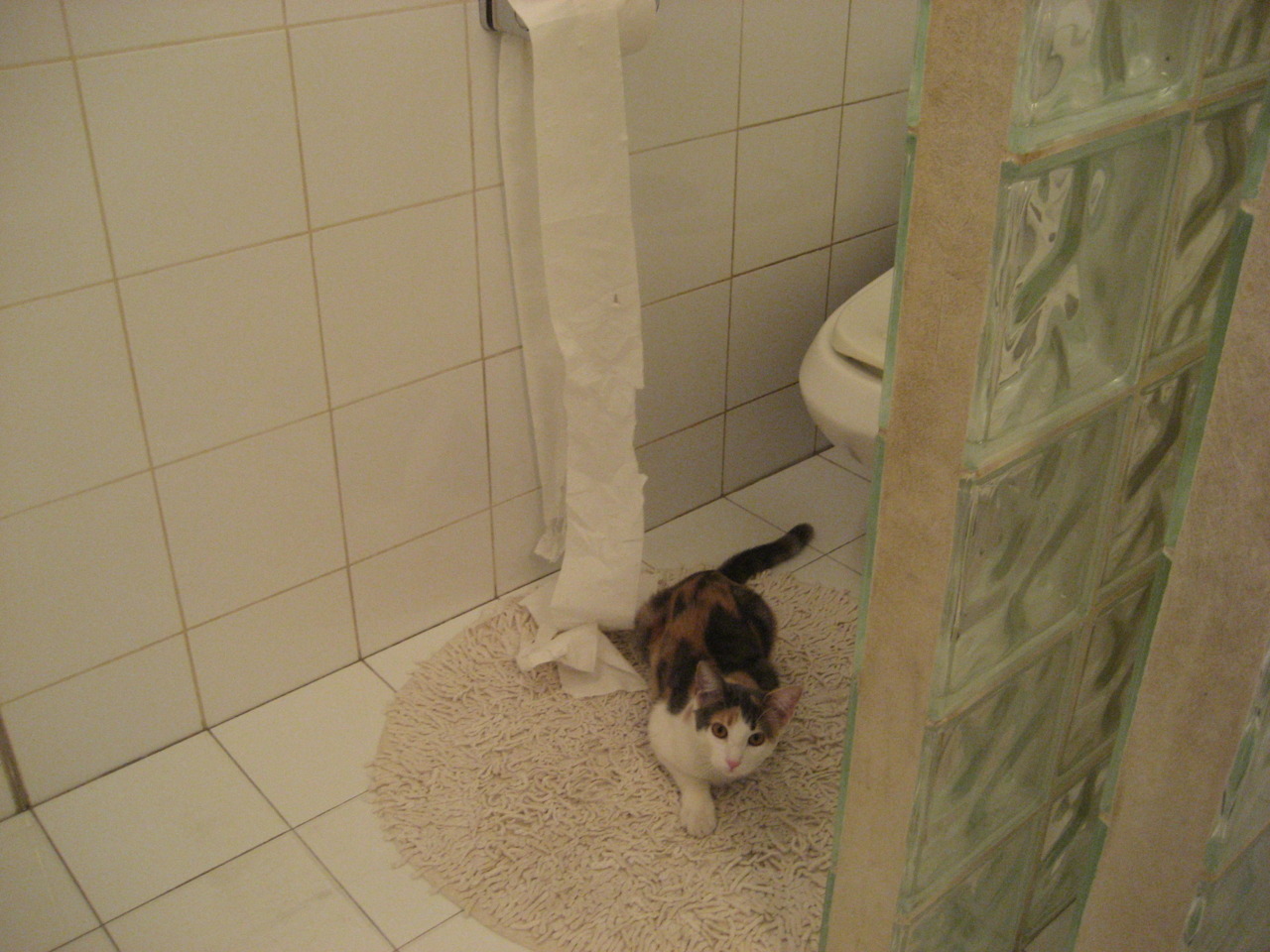 在一次经典对决中，库里连续两节投中九个三分球，带领勇士轻松取胜！